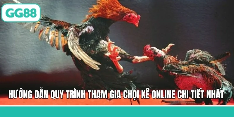Hướng dẫn quy trình tham gia chọi kê online chi tiết nhất 