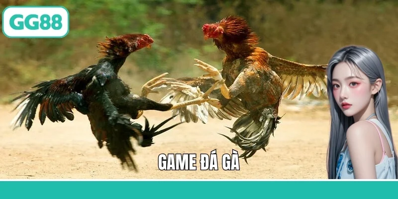 Game Đá Gà - Sân Chơi Sôi Động, Thắng Lớn Mỗi Ngày Tại GG88